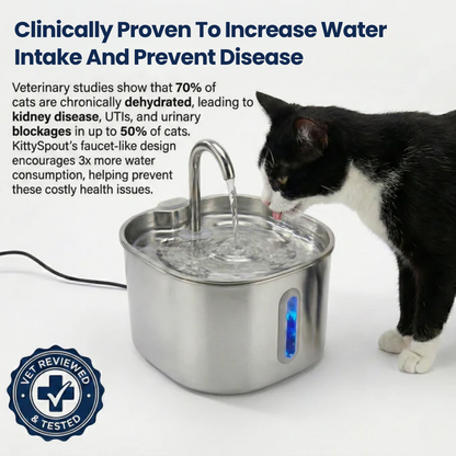 CatVitalis - Stainless Steel Cat Water Fountain