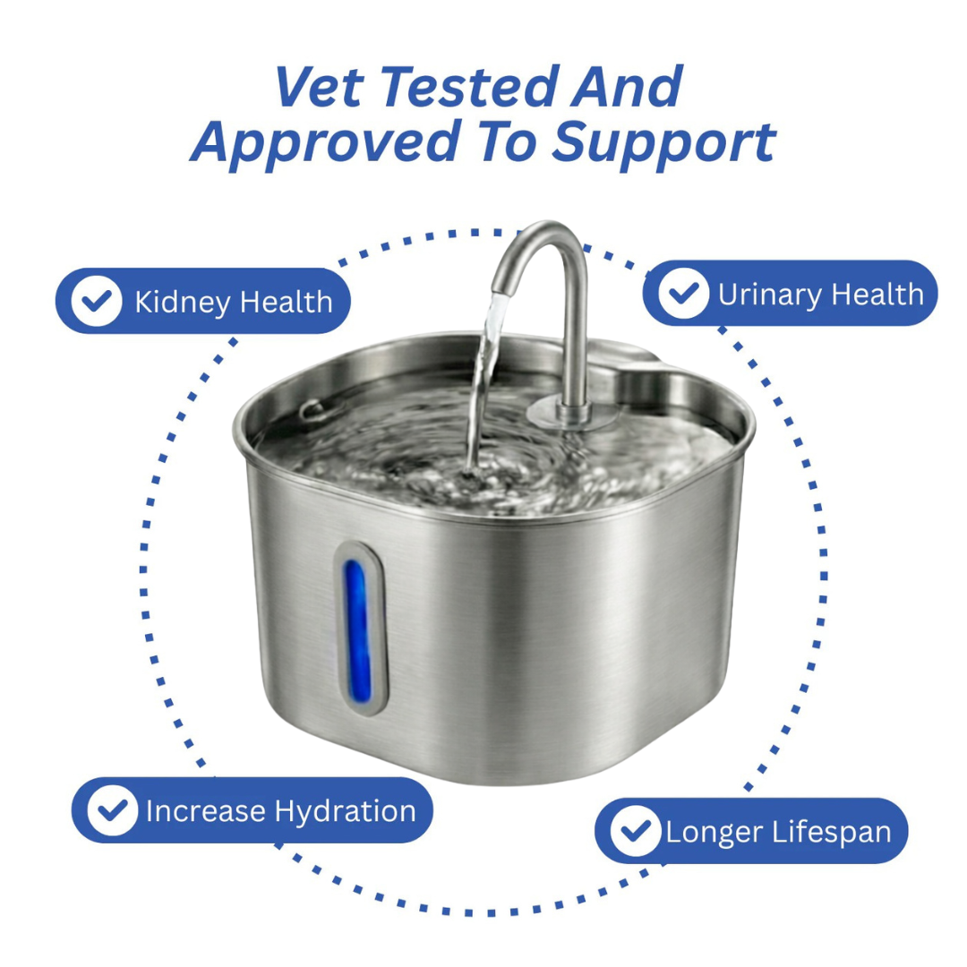 CatVitalis - Stainless Steel Cat Water Fountain