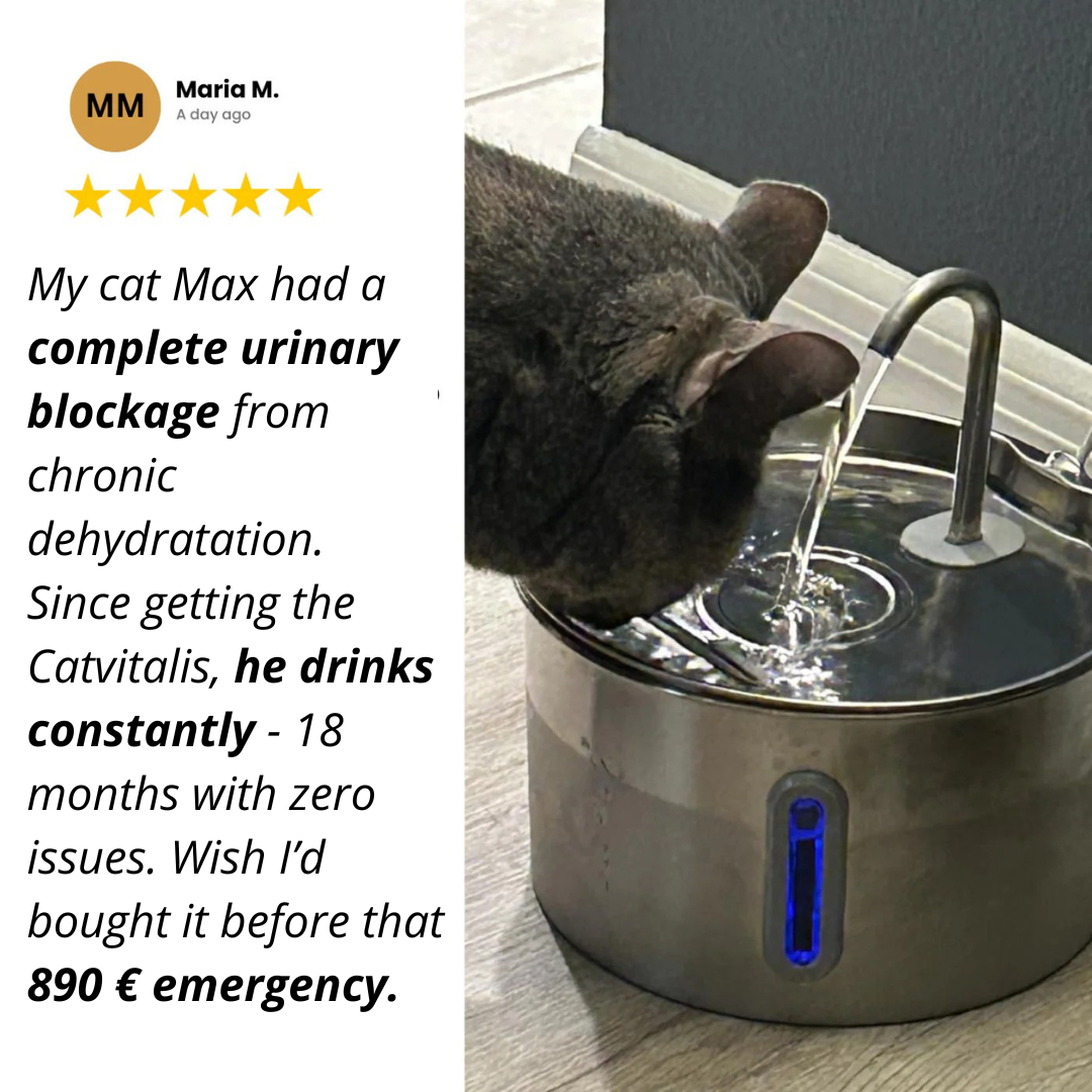 CatVitalis - Stainless Steel Cat Water Fountain